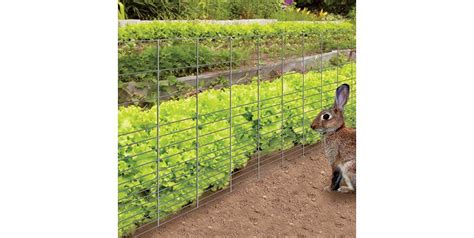 Rabbit Garden Betfair